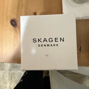 Sliver and gold skagen watch